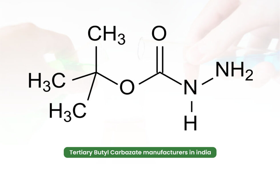 Tertiary Butyl Carbazate Manufacturers In India